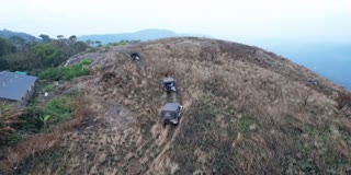 KERALA IDUKKI BANS TOURIST JEEP