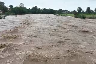 SEONI HEAVY RAIN