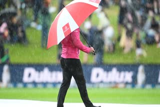 cricket umpire