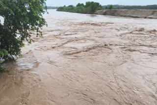CENTRAL WATER COMMISSION