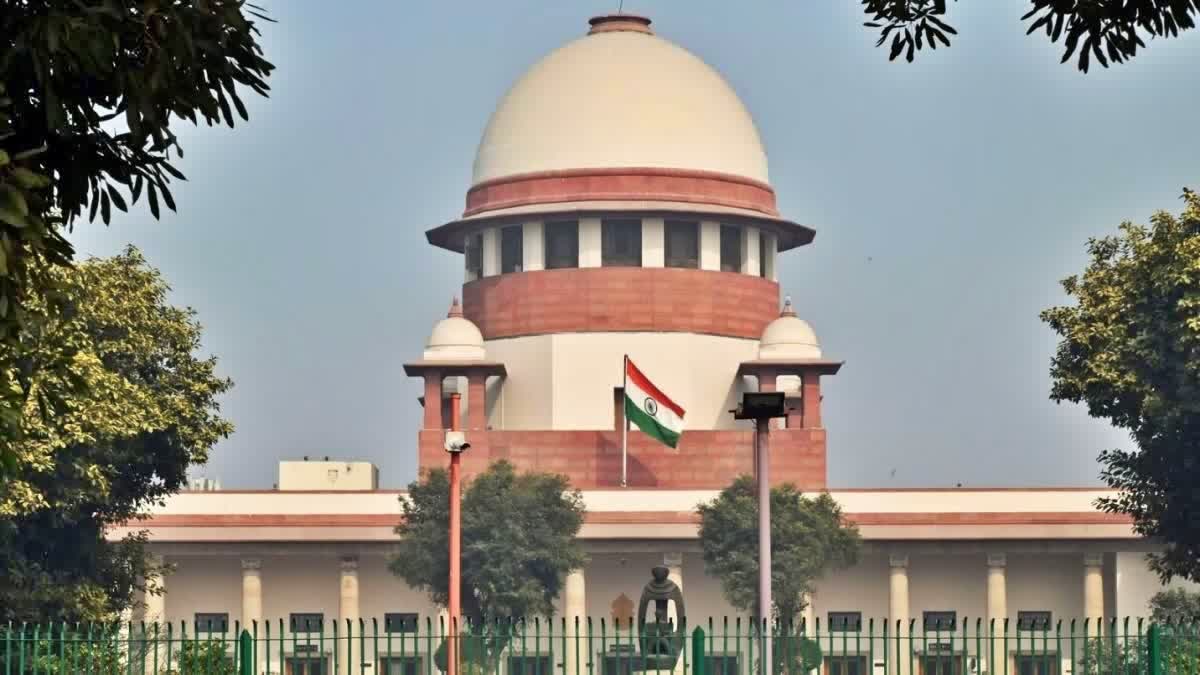 SC declines plea by Go First against HC order allowing lessors to maintain aircraft
