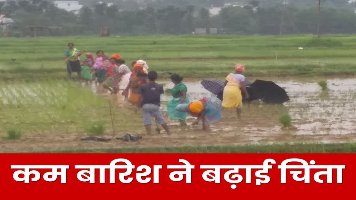 Less than normal rainfall in 22 out of 24 districts of Jharkhand Weather Update