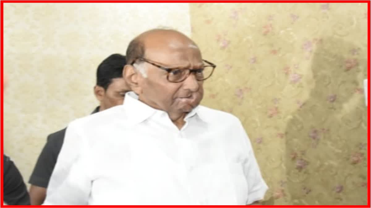 Sharad Pawar News