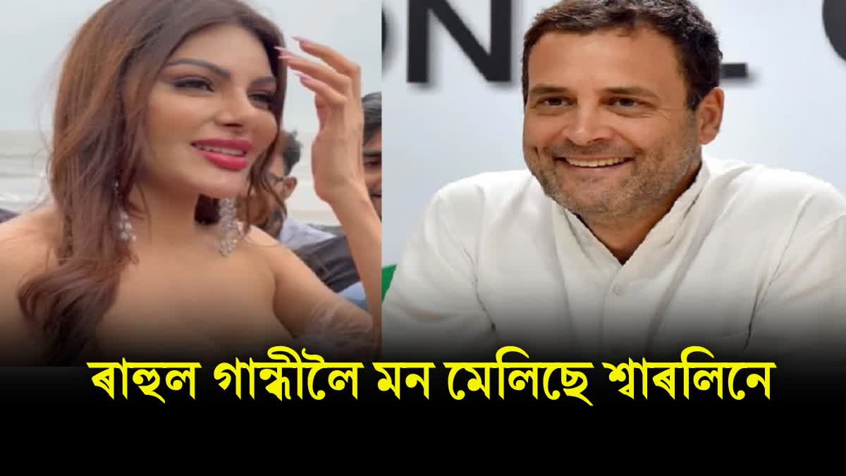 WATCH : I want to marry rahul gandhi on this condition, Sherlyn Chopra