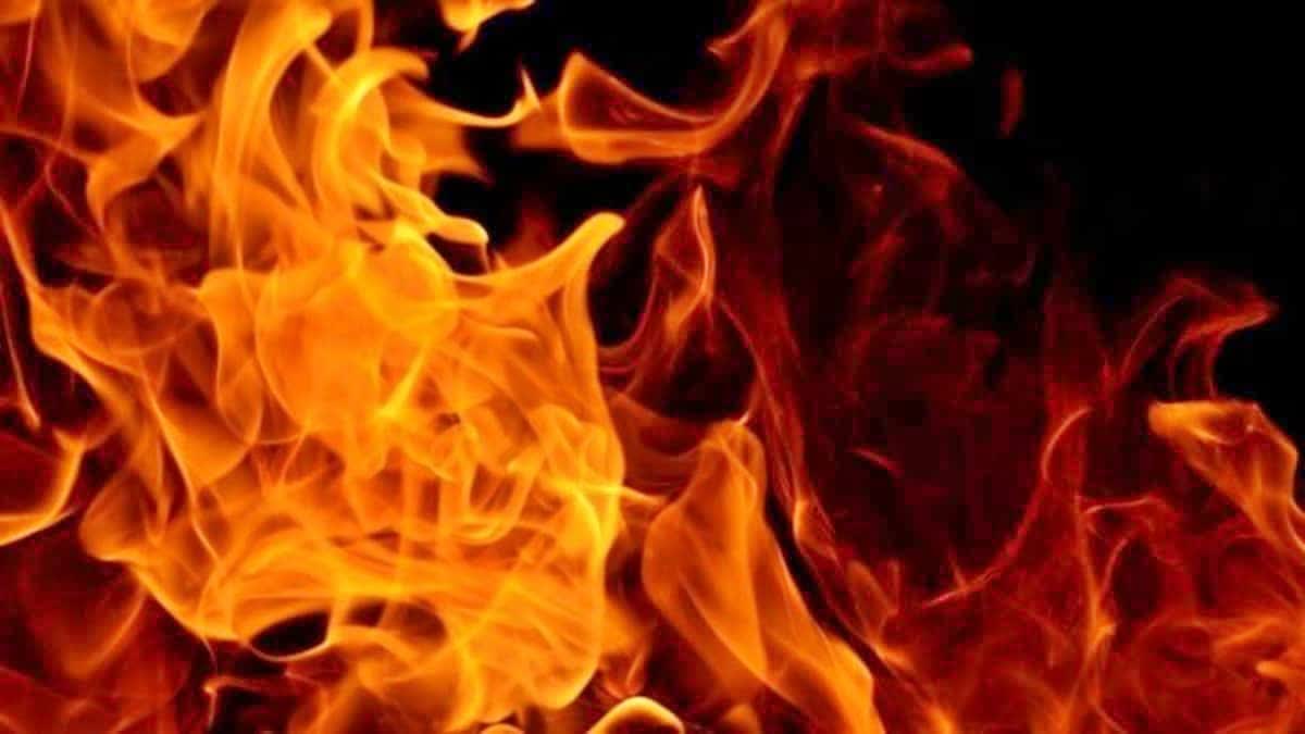 Four month pregnant woman burnt alive in West Bengal