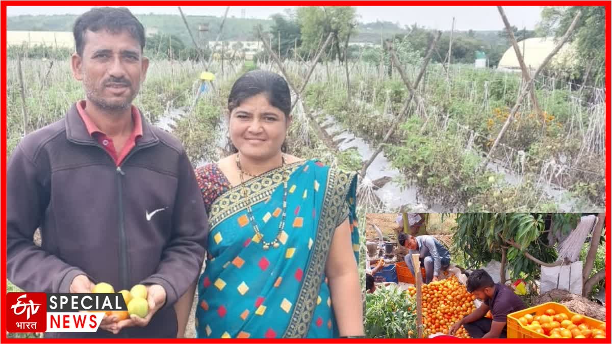 Farmer Success Story