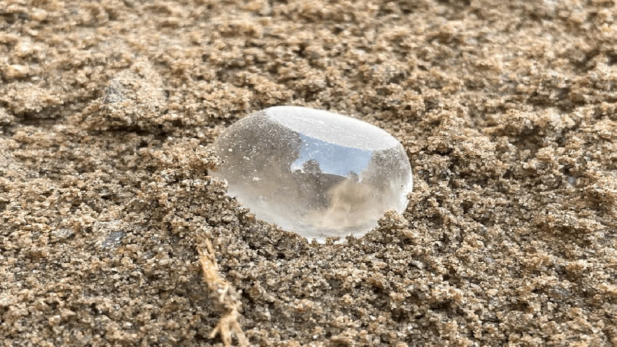 Tamil Nadu Archaeologists unearth rare crystal Quartz weight stone