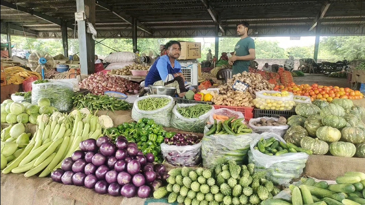 Tomato Price in Karnal Vegetable Market