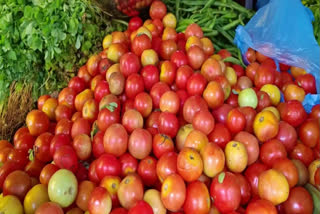 Reduced Tomato Prices