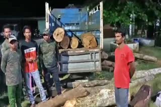 lakhs of Teak tree  wood seized