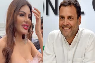 Sherlyn Chopra and Rahul Gandhi