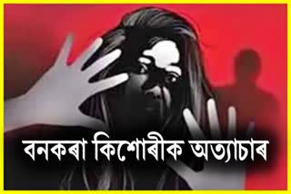 Teenage girl torture in Tinsukia