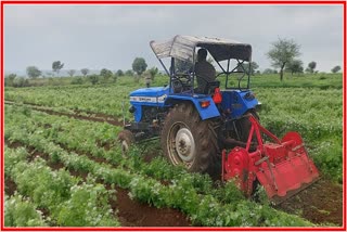 rotavator hit three and a half acres of coriander