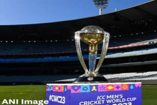 ICC World Cup 2023 ODI Win Record After ICC World Cup 2019
