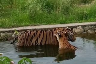 Abheda Biological Park