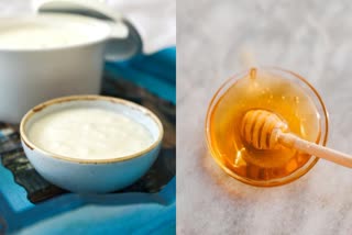 honey-mixed-with-curd-benefits-and-yogurt-and-honey-benefits-for-health