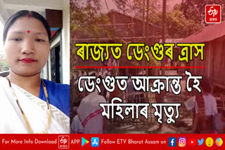Woman dies of dengue in Dibrugarh