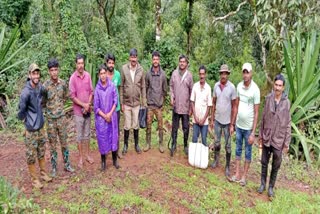 ಅರಣ್ಯ ಅಧಿಕಾರಿಗಳನ್ನೇ ಅಟ್ಟಿಸಿಕೊಂಡು ಬಂದ ಆನೆಗಳು