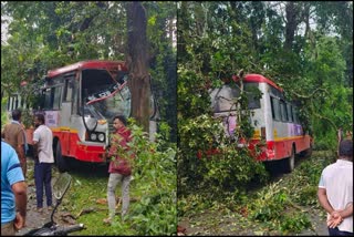 KSRTC bus hit a tree after the driver lost control