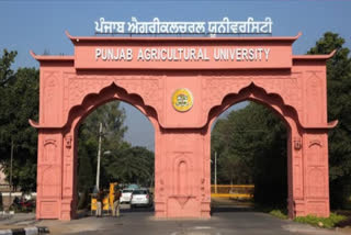 Assistant professor of PAU Ludhiana suspended in sexual harassment case