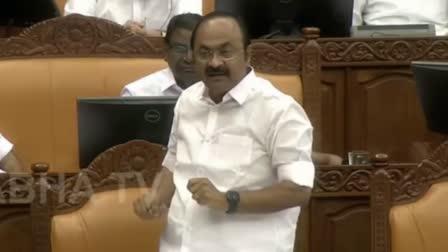 vd satheesan about kseb banana plants cut issue  assembly session  vd satheesan on assembly session  വിളവെടുക്കാറായ വാഴകൾ കെഎസ്ഇബി വെട്ടിമാറ്റി  വാഴകൾ കെഎസ്ഇബി വെട്ടിമാറ്റിയ സംഭവം  കെഎസ്ഇബി  കെഎസ്ഇബി വാഴ വെട്ടിയ സംഭവം നിയമസഭയിൽ  kseb banana plants cut issue  kseb banana plants cut  vd satheesan on kseb banana plants cut  കെഎസ്ഇബിക്കെതിരെ വി ഡി സതീശൻ  വൈദ്യുതി മന്ത്രി നിയമസഭയിൽ  കെഎസ്ഇബി വാഴ വെട്ടി