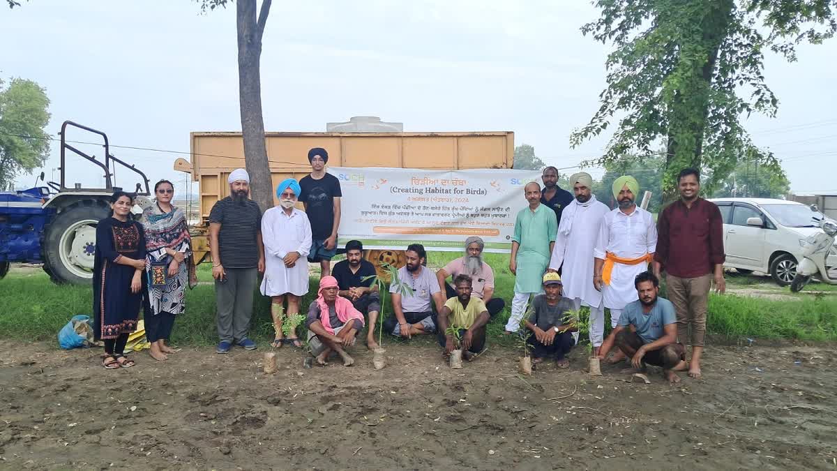 kapurthala preparing to make a forest in collaboration with the organization