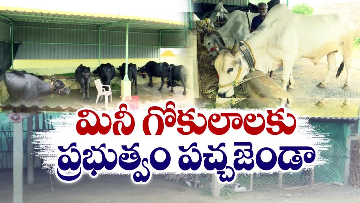 AP Gokulam Scheme 2024