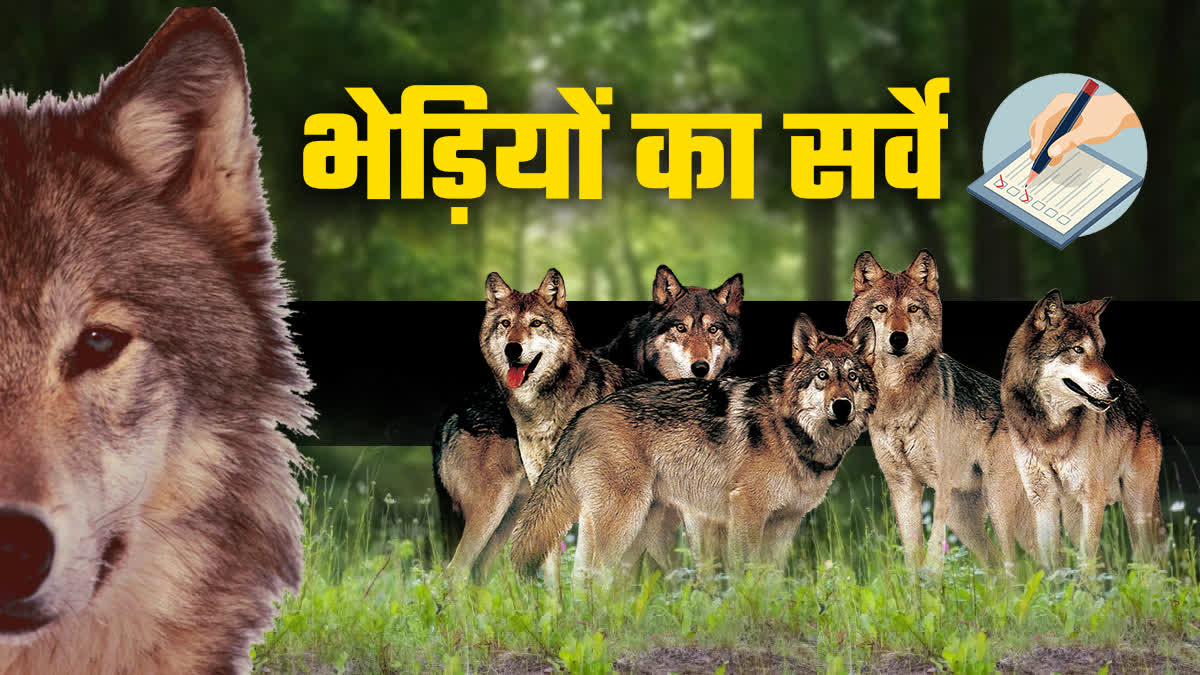 Mahuadanr wolf sanctuary in Palamu