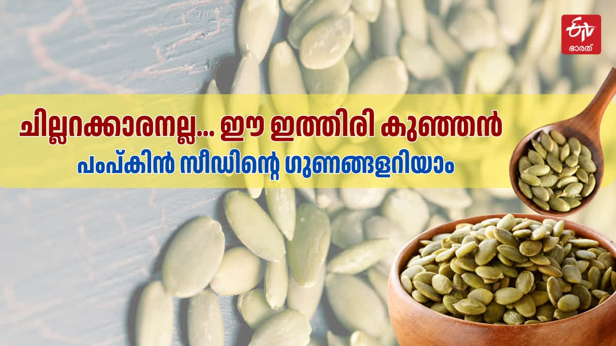 പംപ്കിൻ സീഡ്  മത്തങ്ങവിത്ത്  PUMPKIN SEEDS IN DIET  PUMPKIN SEEDS BENEFITS