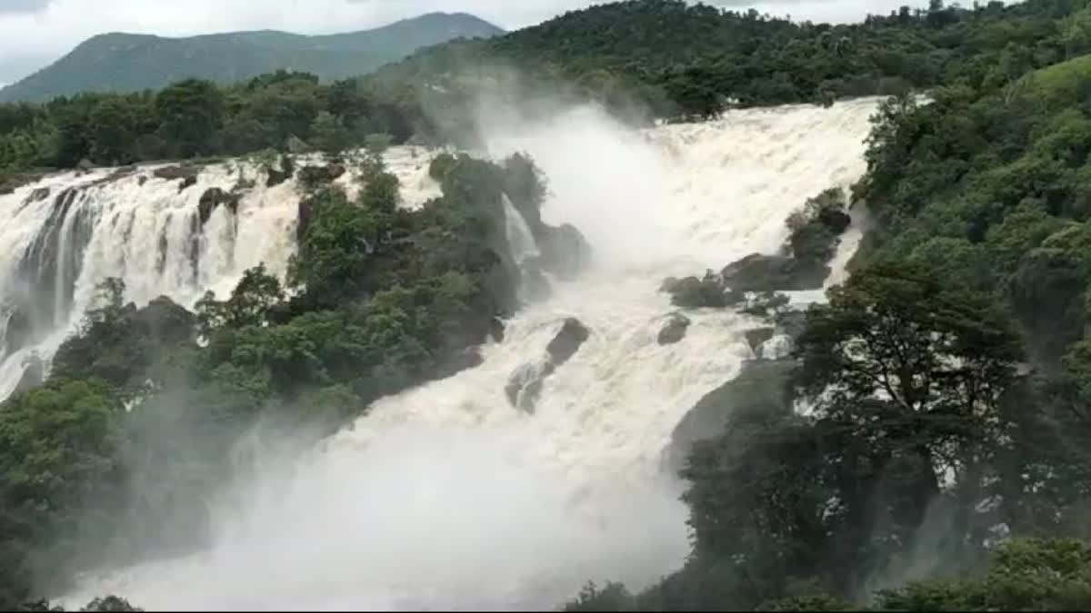 ಭರಚುಕ್ಕಿ ಜಲಪಾತ