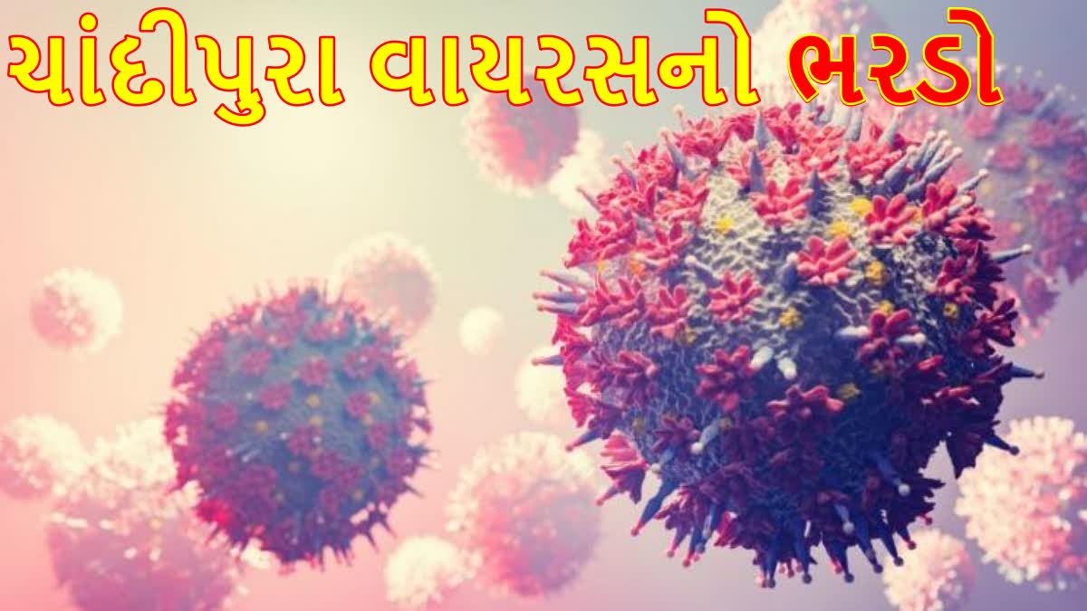 ચાંદીપુરા વાયરસની ઝપેટમાં ગુજરાત