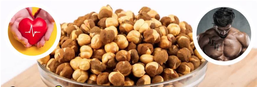 ROASTED CHANA BENEFITS PHYSICIANS SUGGEST ROASTED CHANA RICH SOURCE OF PROTEIN FIBER NUTRITION