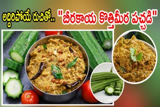 Beerakaya Kotthimeera Pachadi Recipe