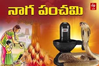 Nag Panchami 2024