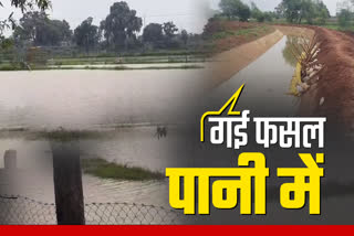 CANAL BROKE IN KOTA