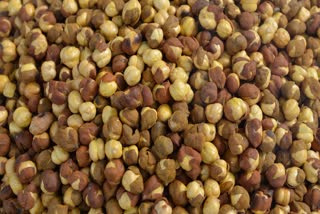 Roasted Gram Chana Benefits