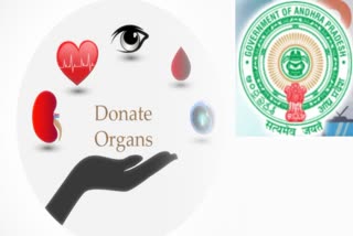 AP_Govt_Issued_Guidelines_on_Organ_Donation