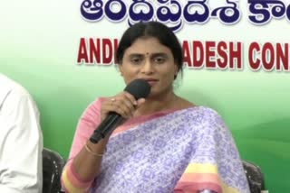 APCC President Sharmila Comments on Agriculture Department