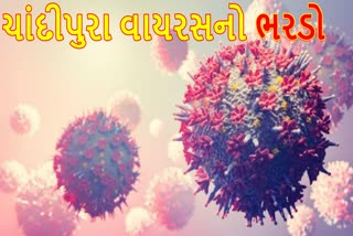 ચાંદીપુરા વાયરસની ઝપેટમાં ગુજરાત