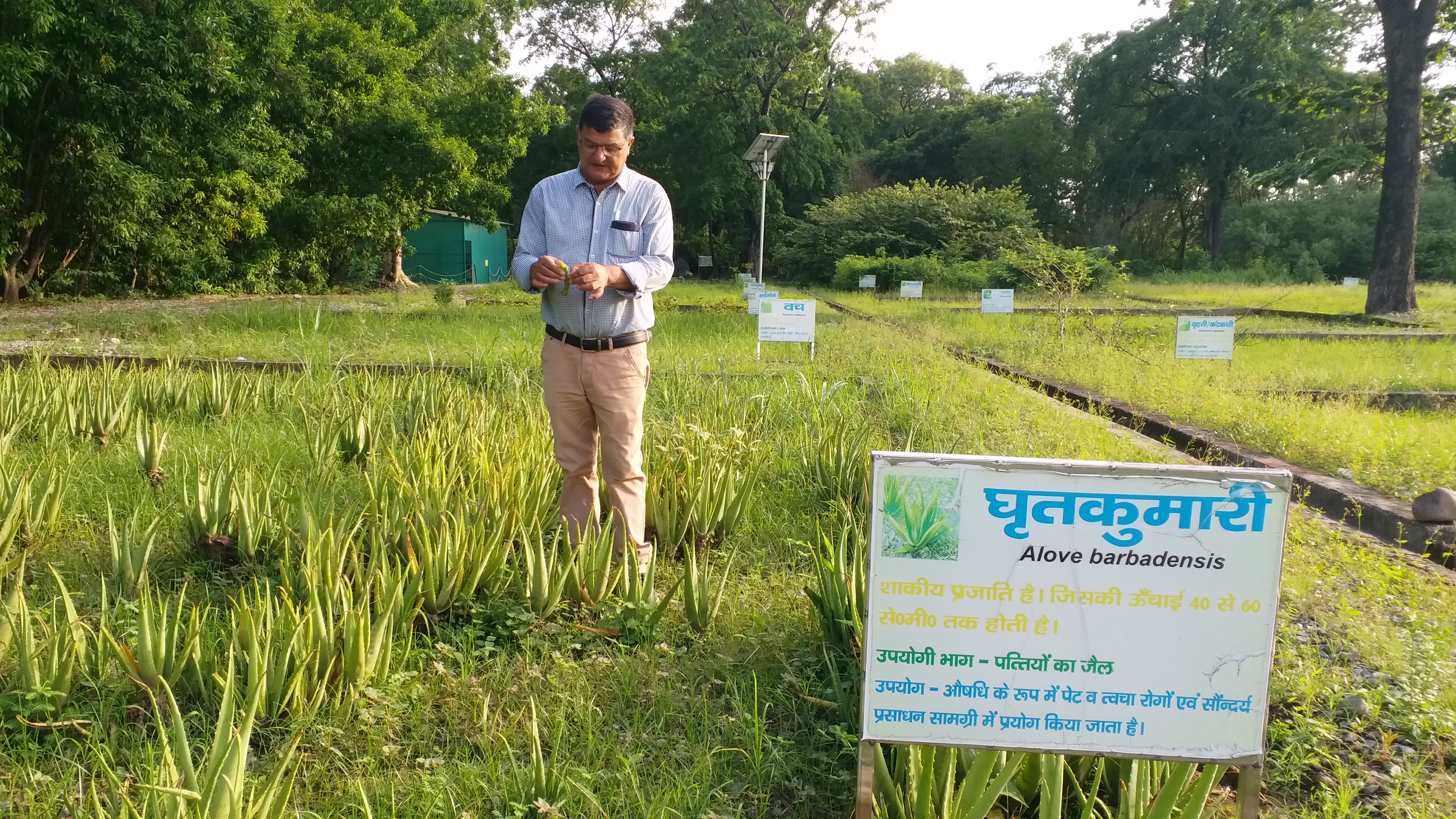 Haldwani Human Organ Garden