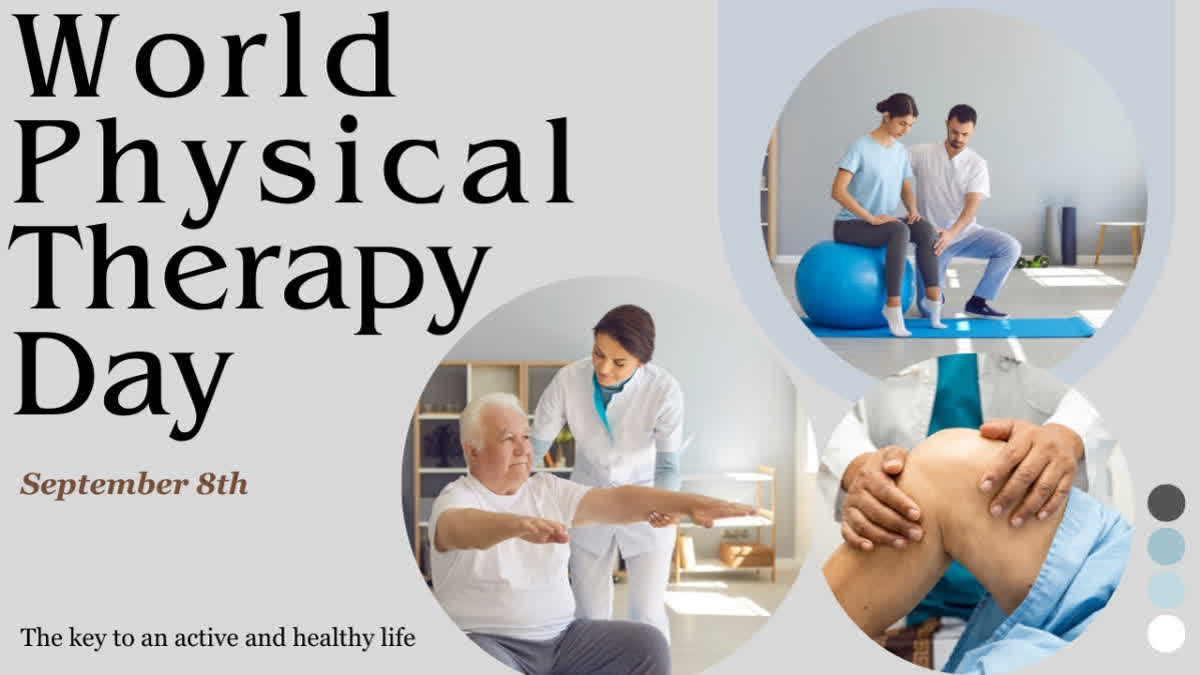 Physiotherapists play an important role in promoting health and well-being