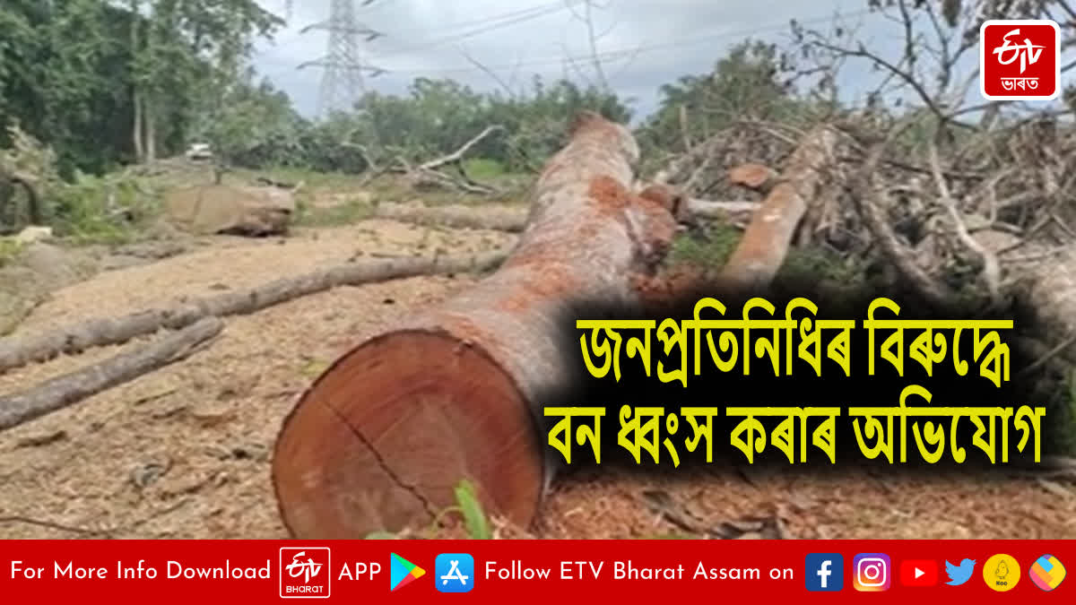 Deforestation in Narayanpur