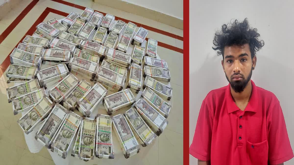 fake currency notes sized case
