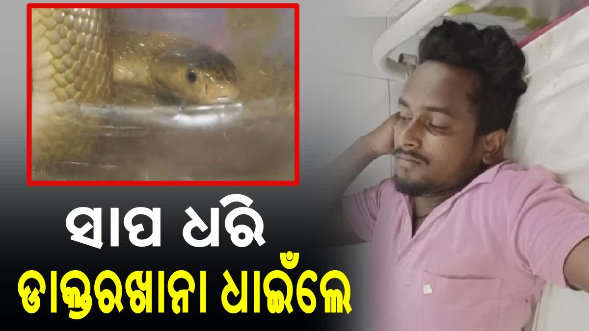 man bitten by snake in bhadrak