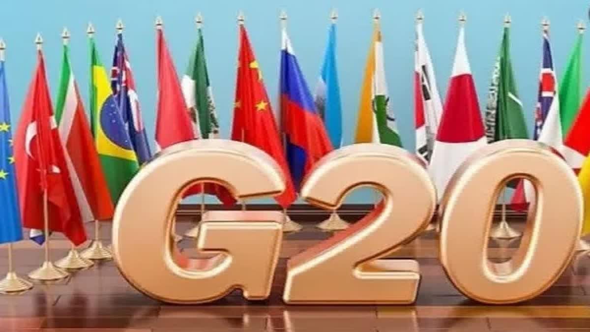 G 20 Summit