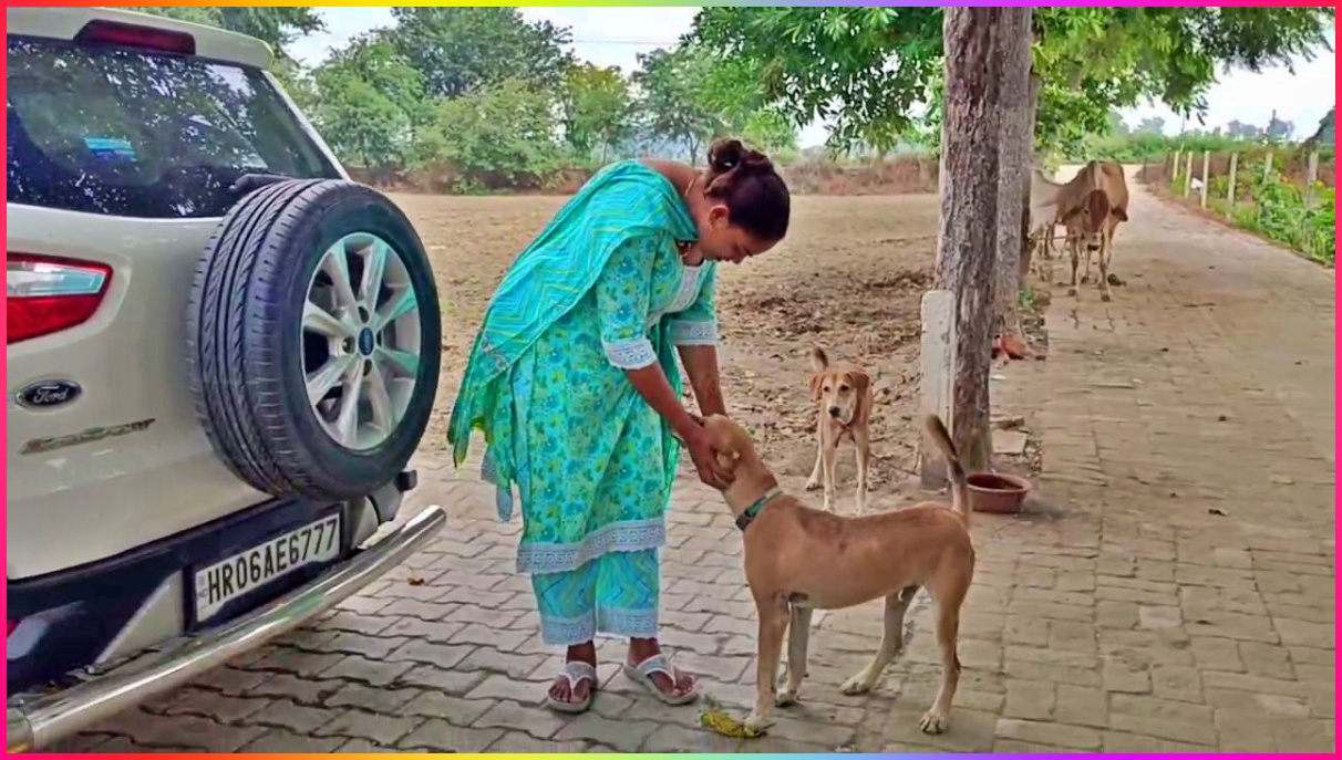 Dog Lover in Panipat Ruby takes care of stray dogs