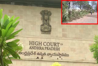high_court_orders_to_govt_on_trees_cutting