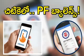 How to Check EPF Balance in UMANG App