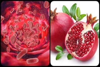 Haemoglobin Rich foods