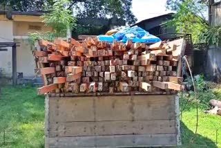 2 WOOD TRUCK SEIZED in Tinsukia